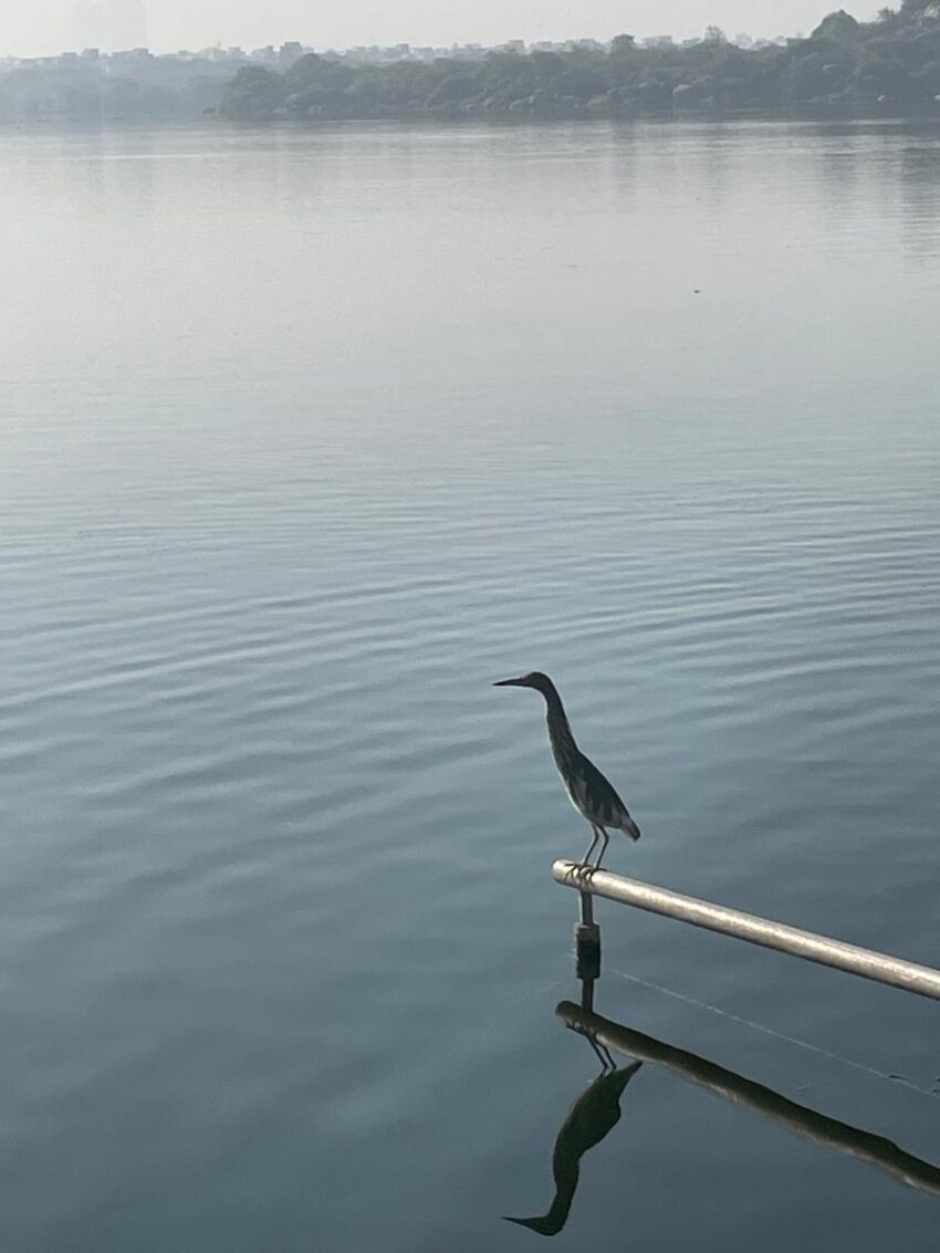 A serene morning at Ameenpur lake, Hyderabad